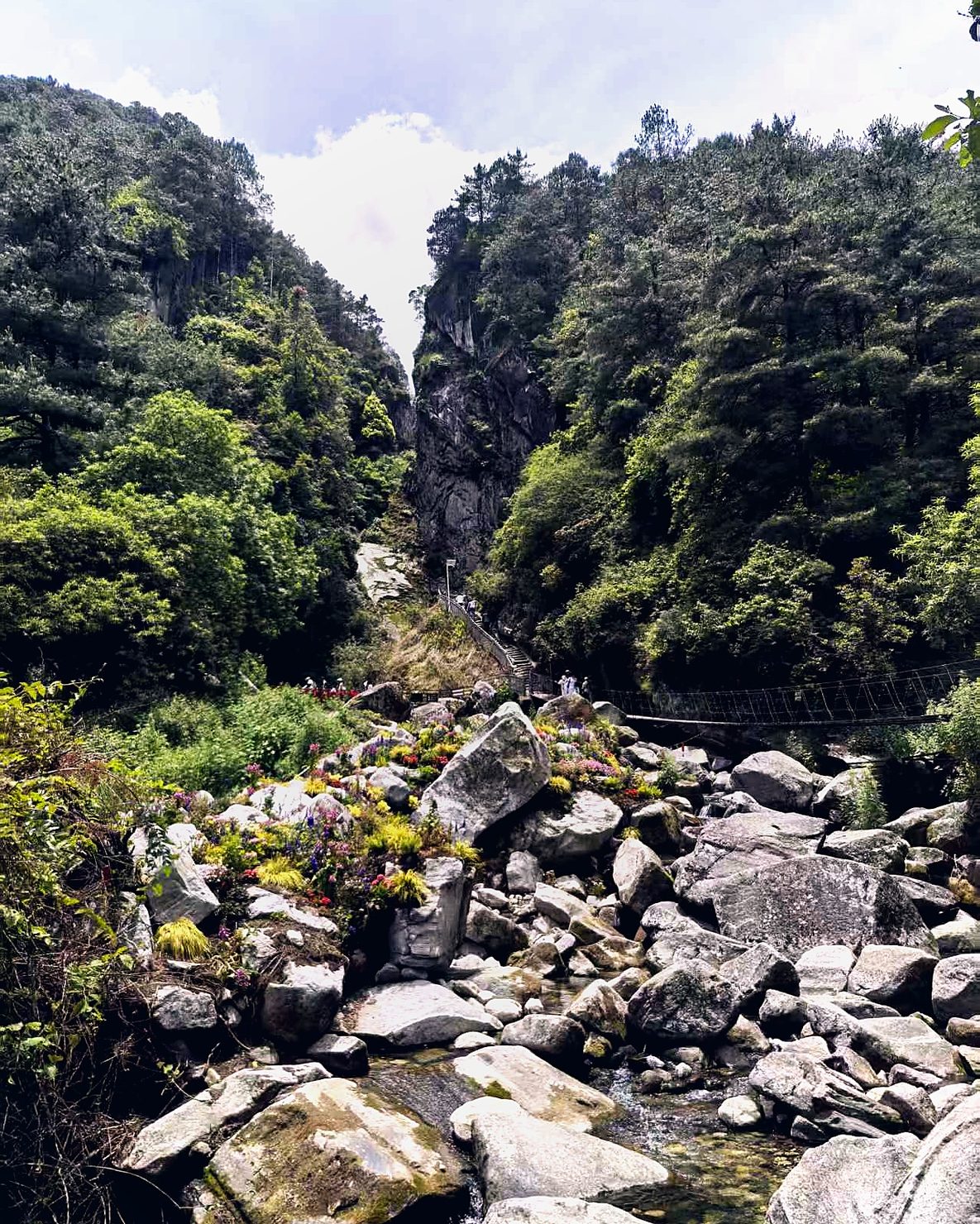 往山里去随拍 1