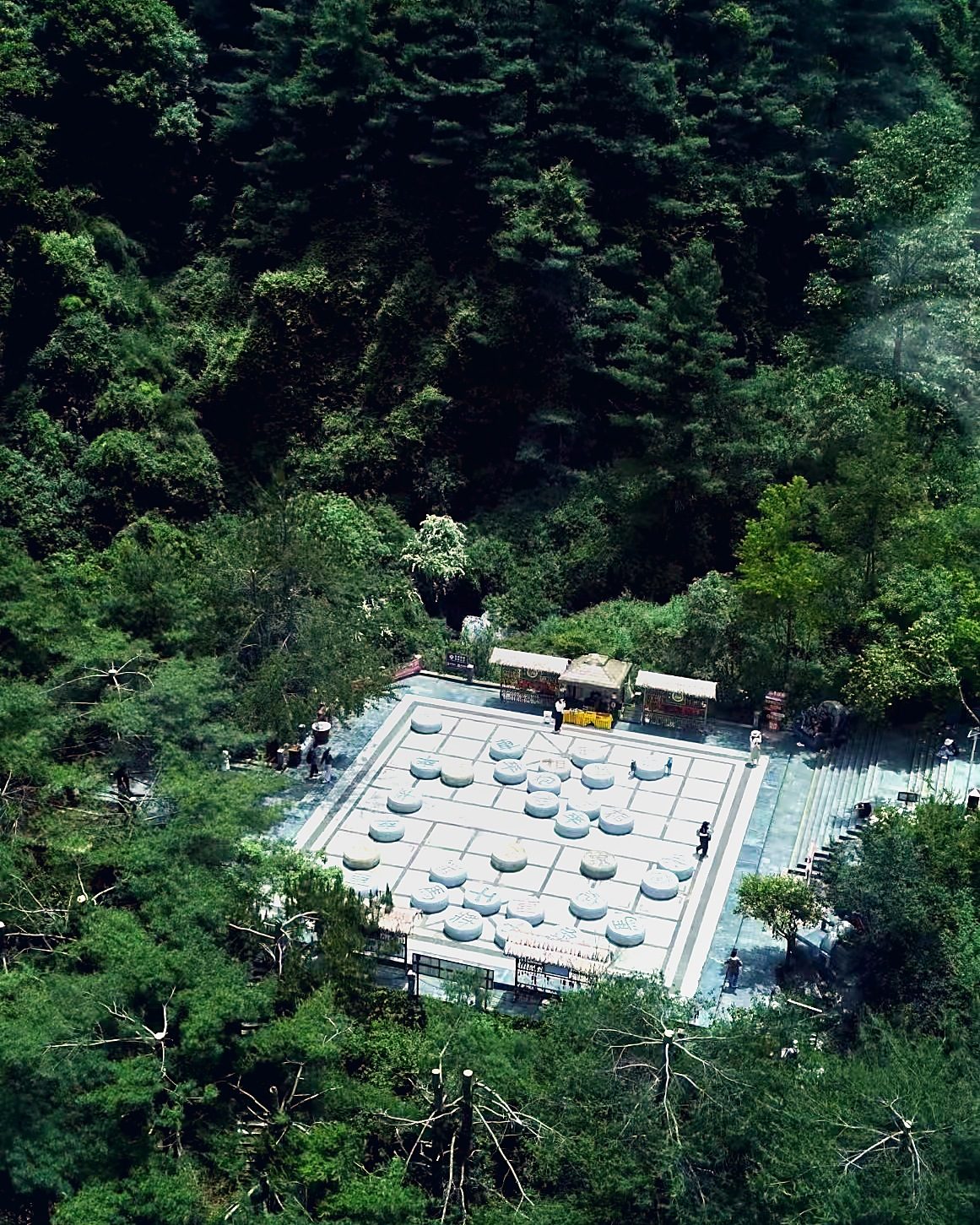 往山里去随拍 4