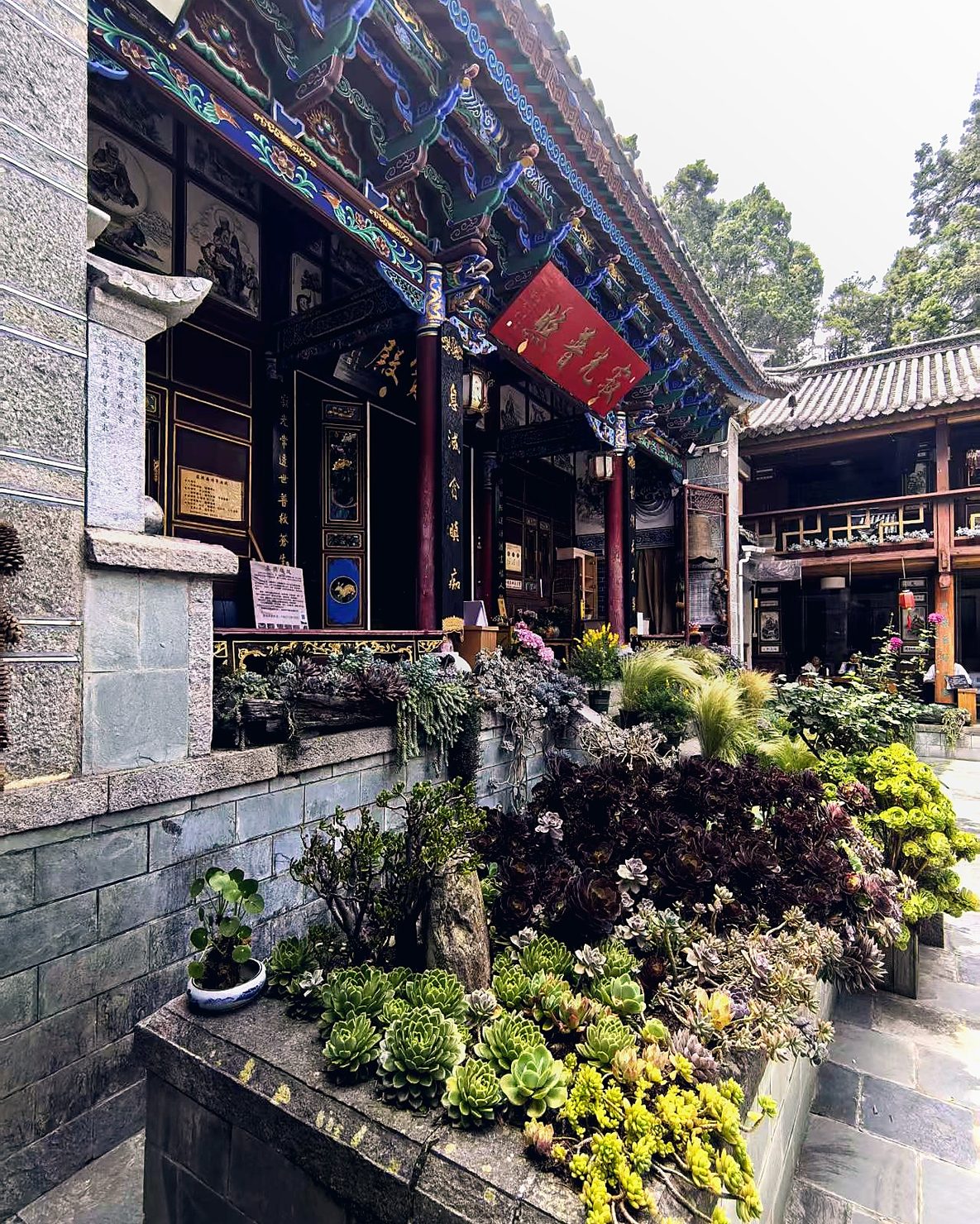 街巷初见随拍 16